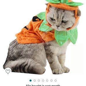 Halloween Pet Pumpkin Costume
